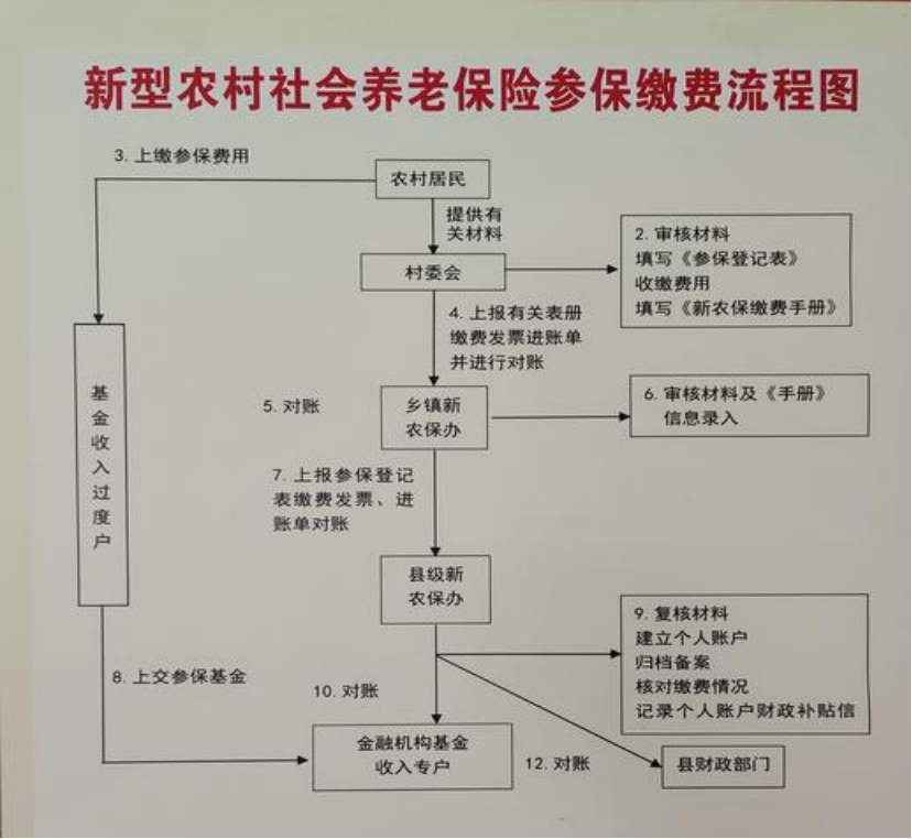 湛江农村医保和社保有什么区别(农村医保跟社保的区别)
